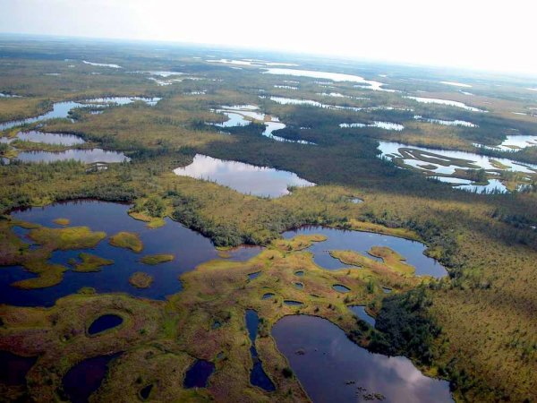 Термокарстовые озера полуострова Ямал