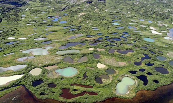 Thermokarst Lake