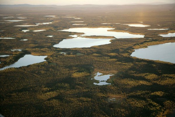 Малоземельская тундра