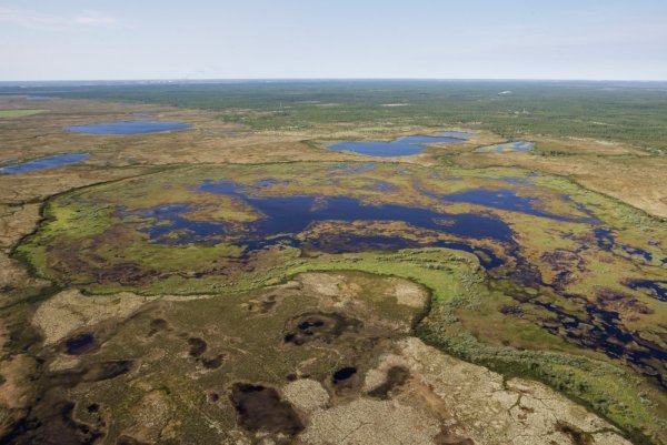 Термокарстовые озера полуострова Ямал