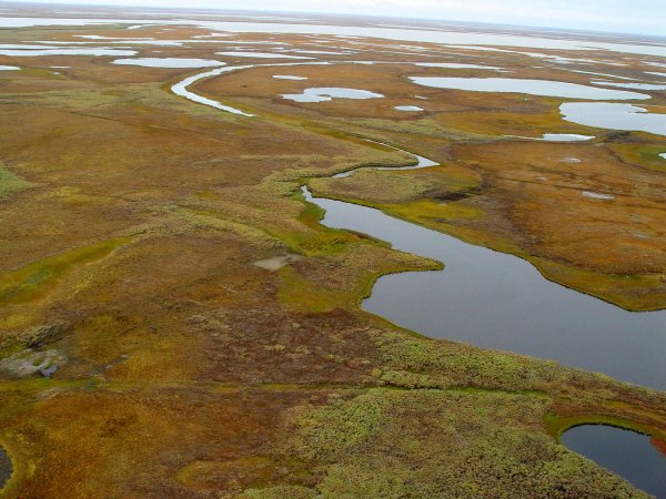 Большеземельная тундра