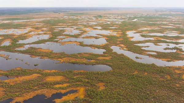 Заболоченность Западно-сибирской равнины
