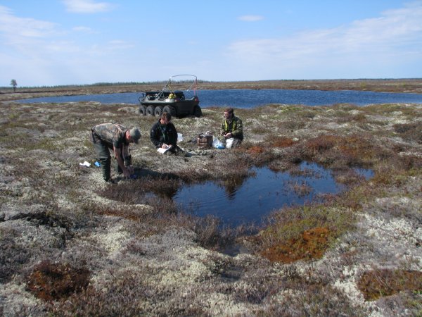 Вечная мерзлота Ямал