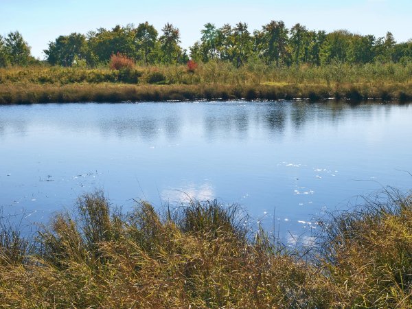 Озеро Немереж Воронежская область