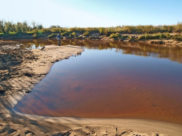 Немереж озеро Петропавловский