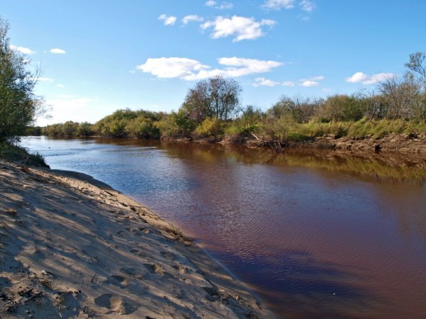 Сита (река, впадает в Петропавловское озеро)