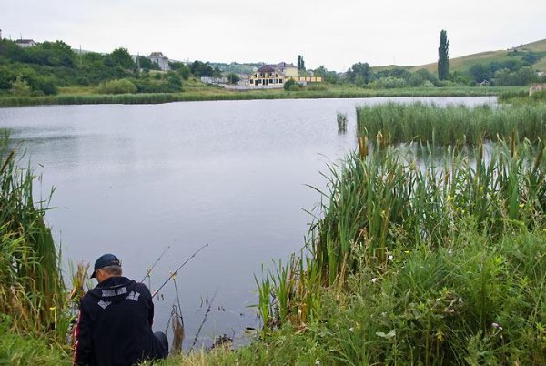 Воронежская область Петропавловка озеро