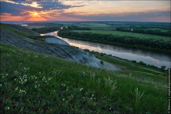 Селявное Воронежская область