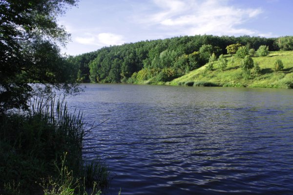 Озеро Погоново Воронежская