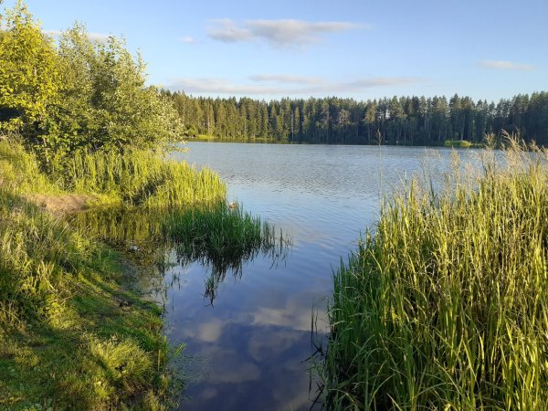 Озеро Лебяжье Ленинградская область
