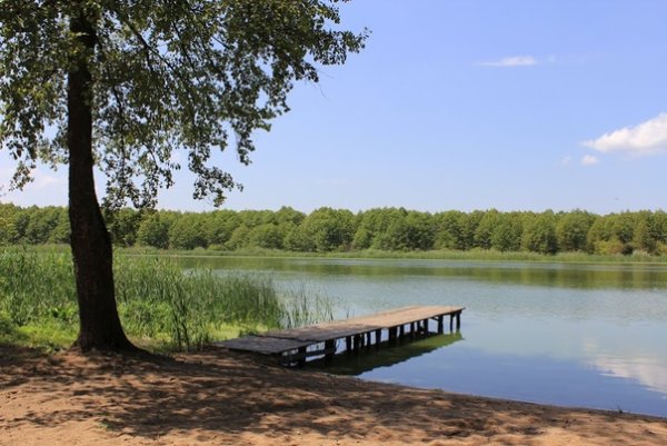 Погоново озеро Воронеж