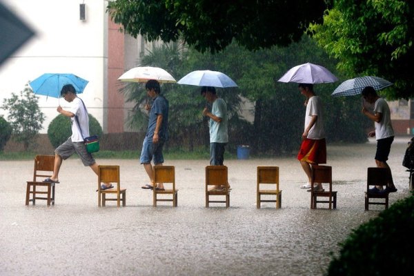 Дождливое лето прикольные