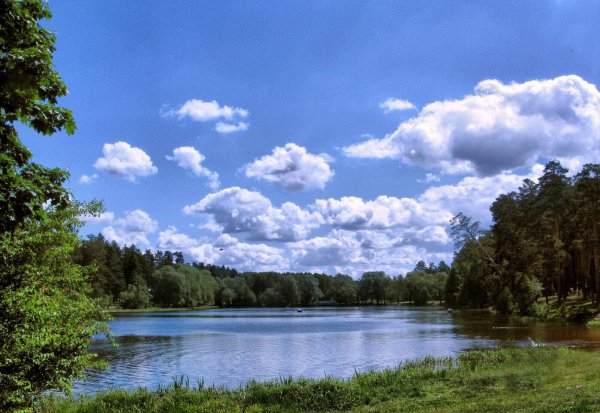 Лесное озеро в Кратово