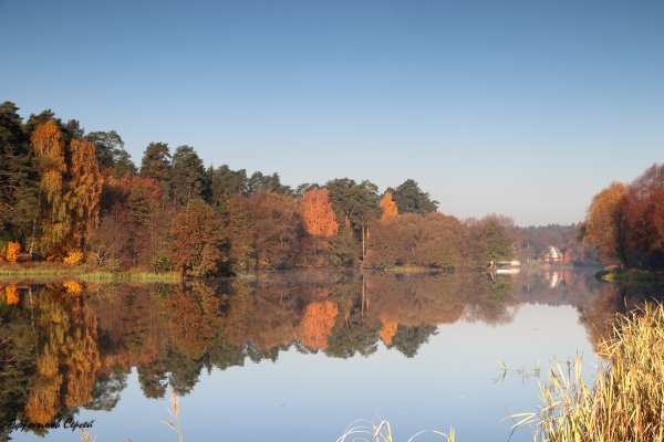 Поселок Кратово озеро