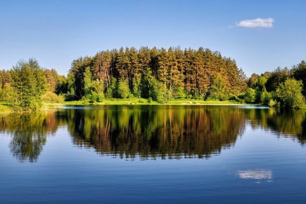 Лесное озеро ММР Кратово