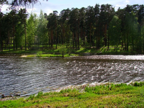 Лесное озеро в Кратово