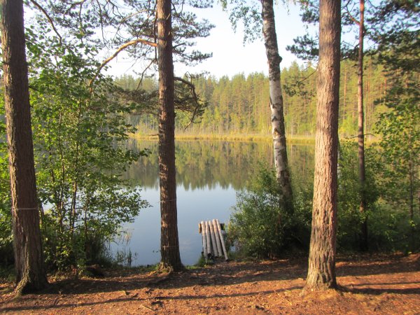 Лесное озеро в Кратово