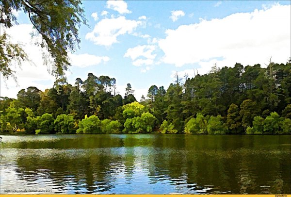 Озеро Амазонка Орехово-Зуево