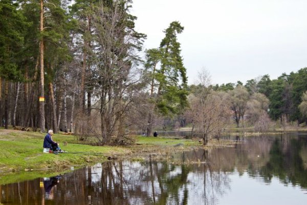 Кратово парк Московская область
