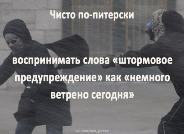 Анекдоты про Петербург