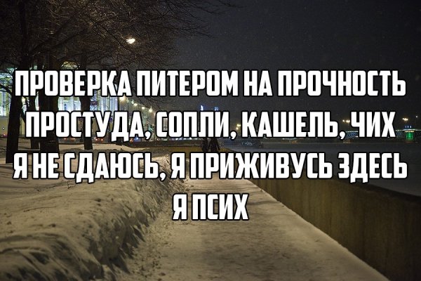 Смешные цитаты про Питер