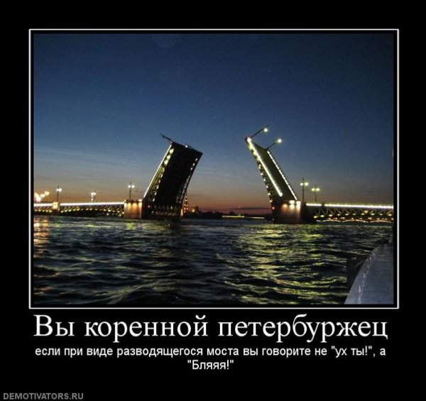 Типичный петербуржец