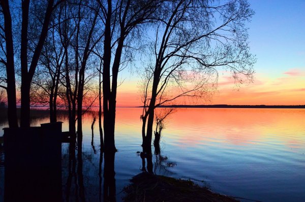 Костромской край галичское озеро