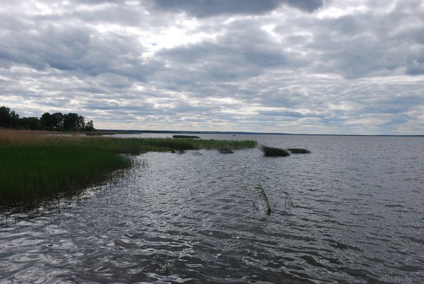 Чистка Галичского озера