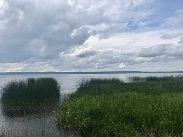 Галичское озеро Костромской области