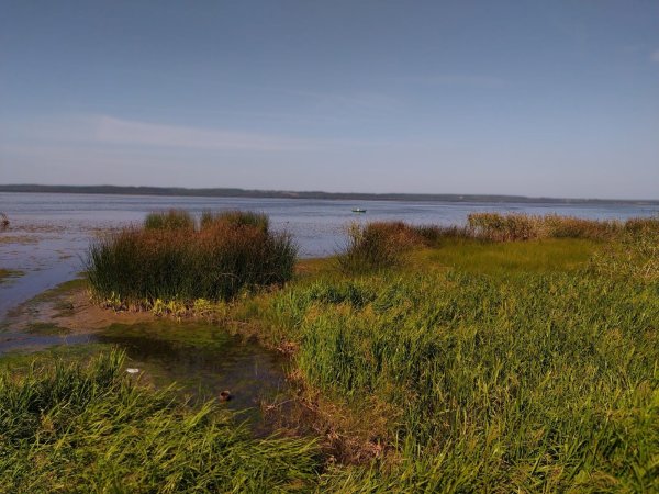 Галичское озеро в Костроме