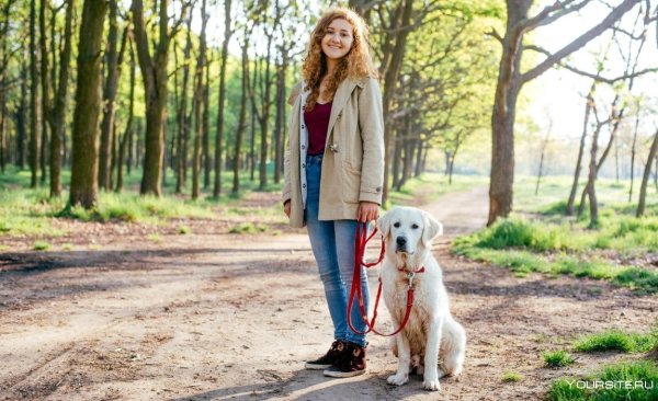 Прогулка с собакой в парке