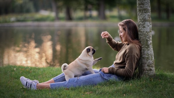 Девушка с собакой
