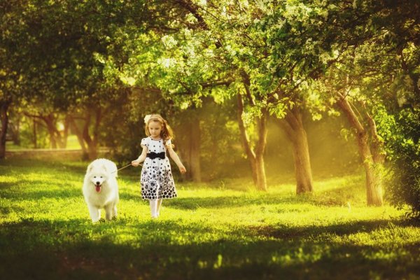 Девочка гуляет с собакой