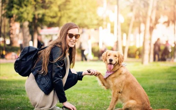 Прогулка с питомцем