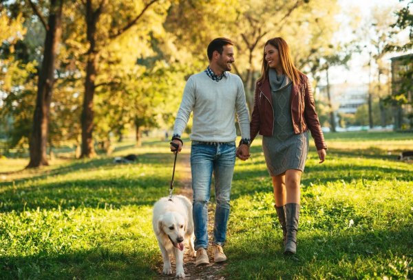 Прогулки на свежем воздухе