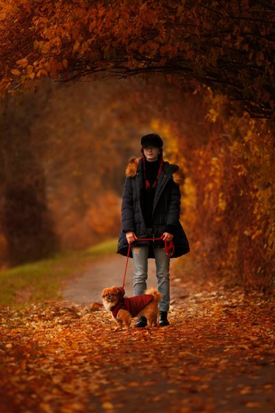 Фотосессия с собакой в парке