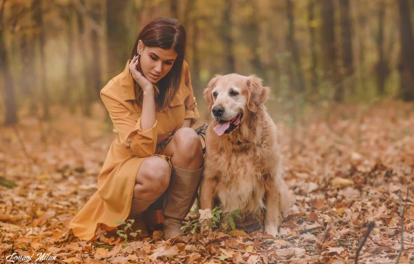 Осенняя фотосессия с собакой
