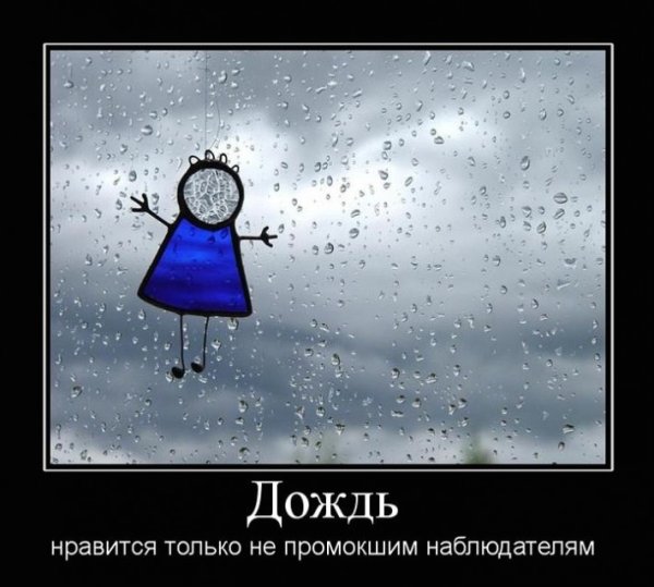Смешные фразы про дождь