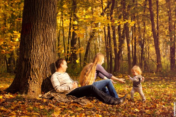 Прогулка в осеннем парке