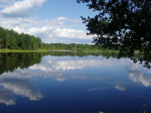 Озеро Ильмурзино Кушнаренковский