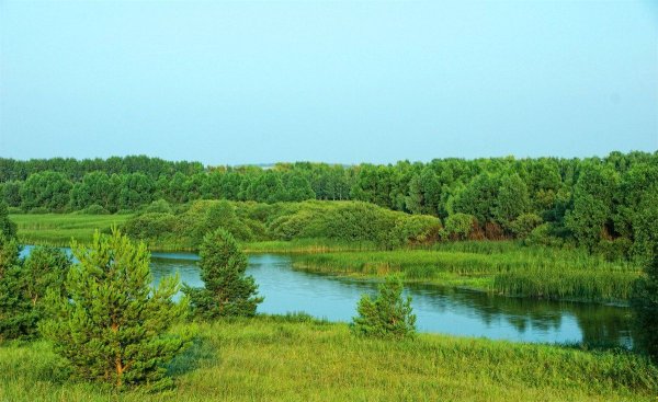 Кушнаренковский район природа