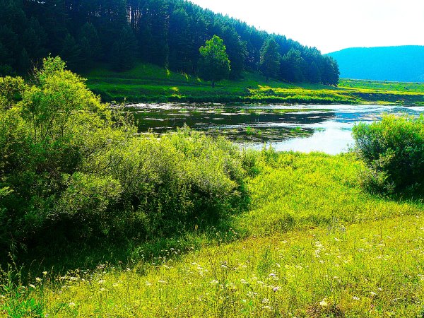 Река белая Кушнаренково