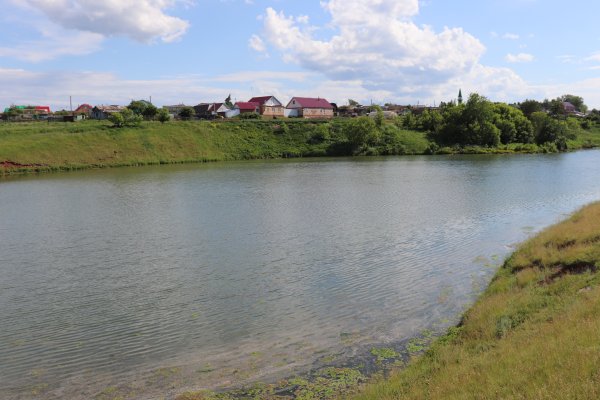 Пруд мирской Старниково