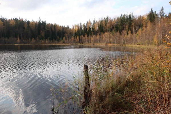 Пундоловское озеро