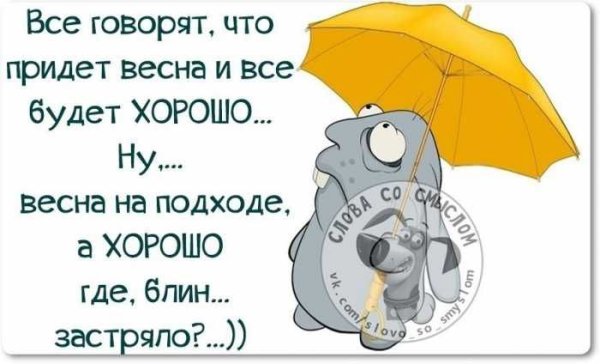 Смешные цитаты про весну
