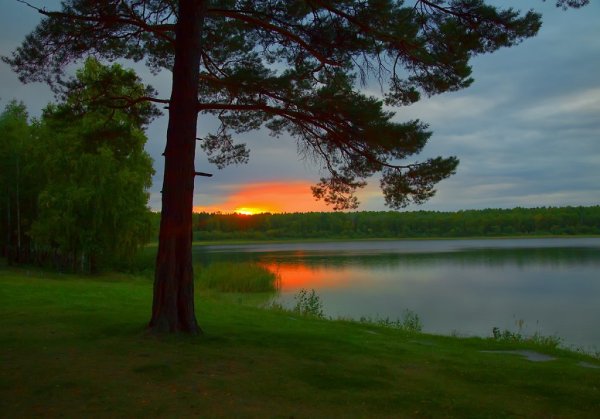 Данилово озеро в Новосибирской области