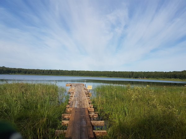 Озеро Данилово Кыштовский район