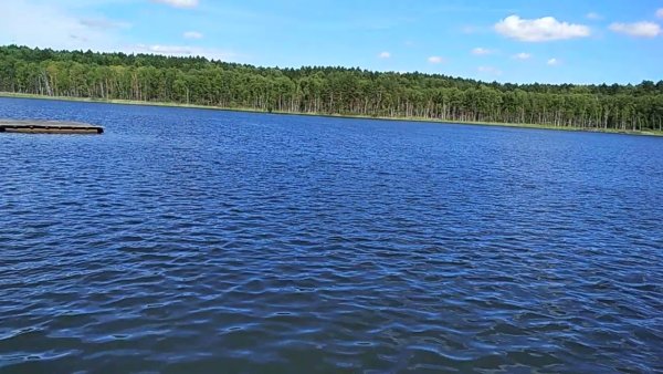 Озеро Данилово Новосибирская область Кыштовский район