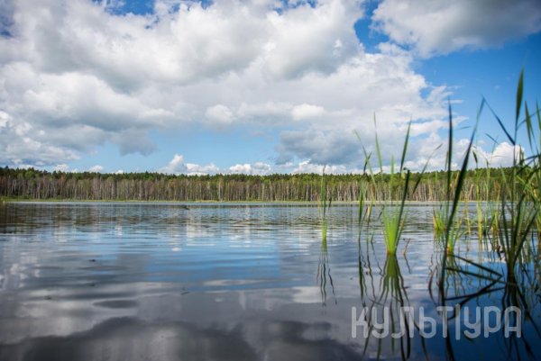 Пять озёр Омская область Линево