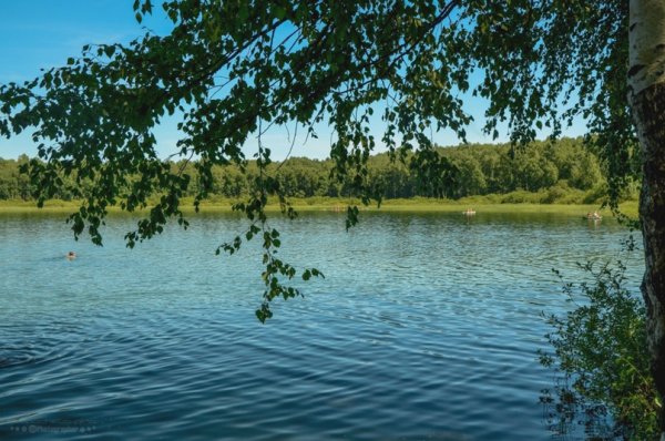 Озеро Данилово Кыштовский район